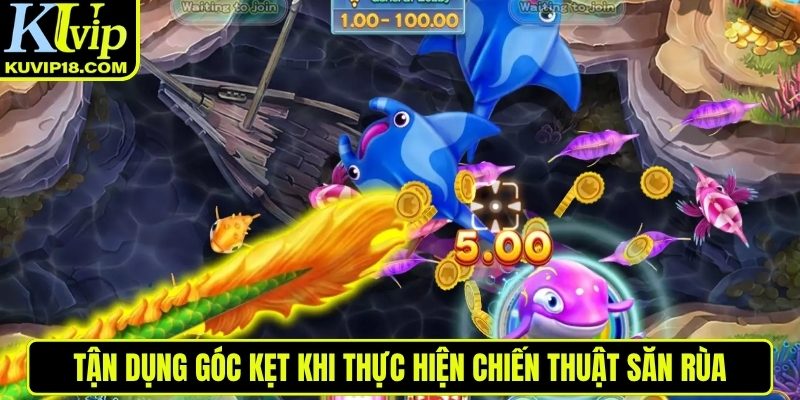 Tận dụng góc kẹt khi săn rùa