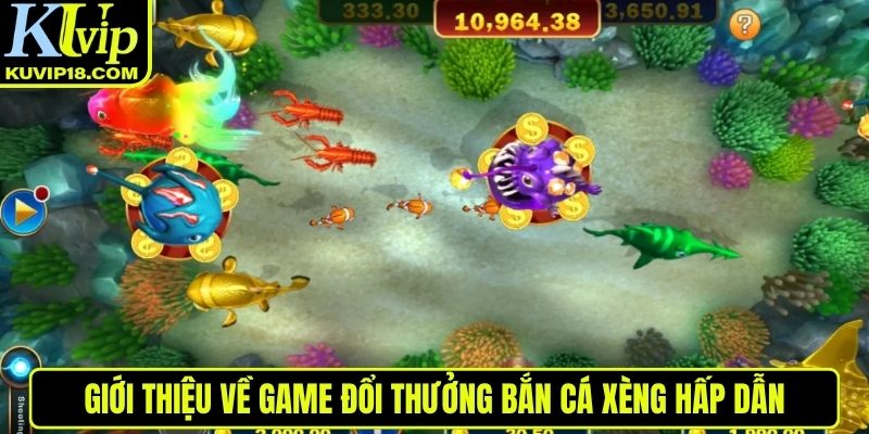 Giới thiệu về bắn cá xèng