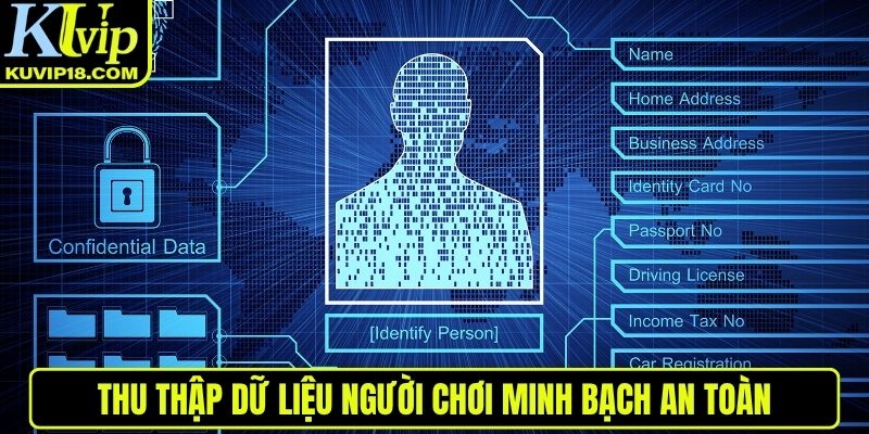 Thu thập dữ liệu người chơi minh bạch an toàn