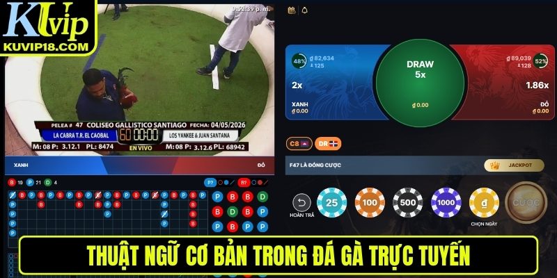 Thuật ngữ cơ bản trong đá gà
