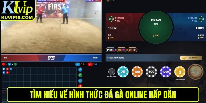 Tìm hiểu về đá gà online