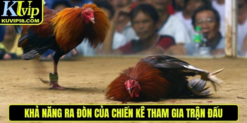 Khả năng ra đòn chiến kê