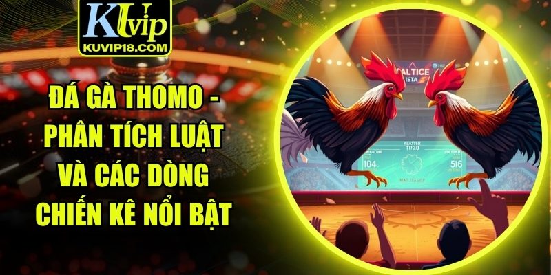 Đá gà Thomo
