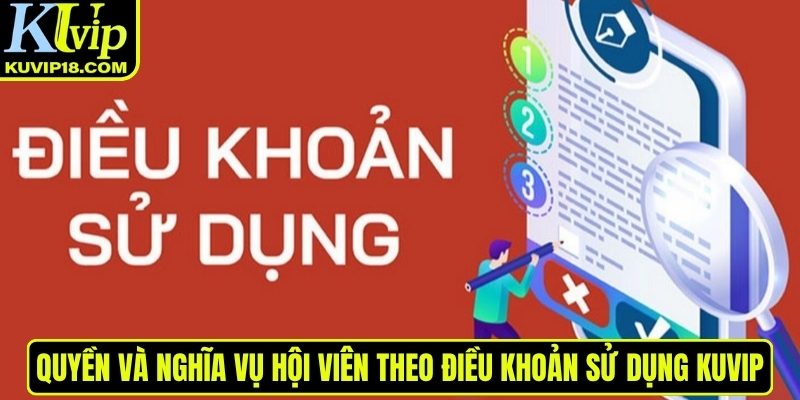 Quyền và nghĩa vụ hội viên theo điều khoản sử dụng KUVIP