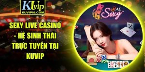 Sexy live casino