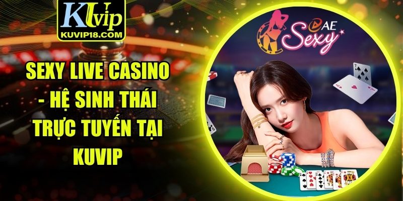 Sexy live casino
