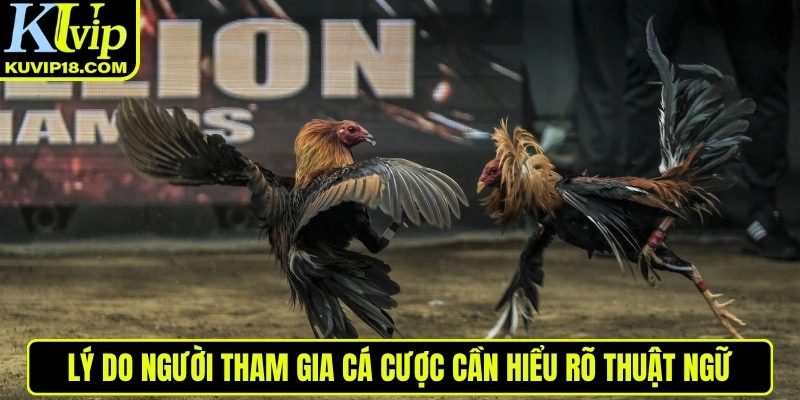 Lý do cần hiểu rõ thuật ngữ