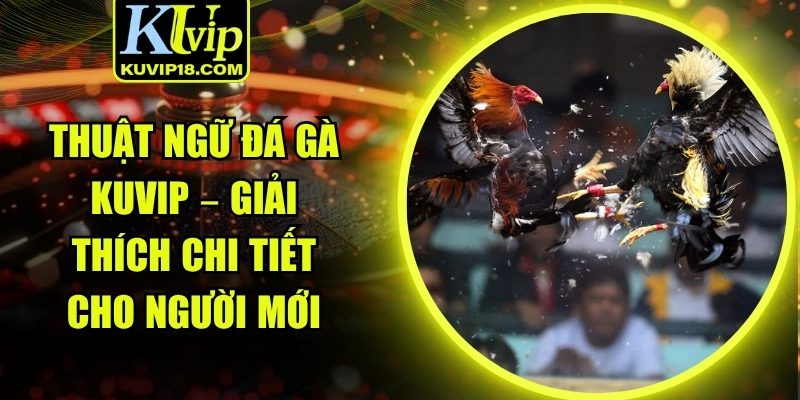 thuật ngữ đá gà